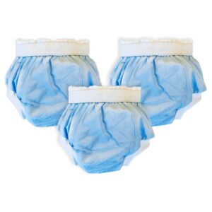 Sema Baby 3'lü Lüks Alıştırma Külodu 10-15 kg - Mavi,7389