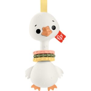 Fisher Price Sensimals Dişlik Seti Hrb22,9067